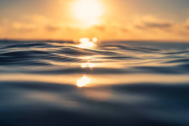 Jeûne de 3 jours du 20 au 27 avril